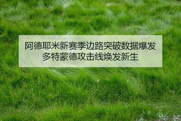 a-de-ye-mi-xin-sai-ji-bian-lu-tu-po-shu-ju-bao-fa-duo-te-meng-de-gong-ji-xian-huan-fa-xin-sheng-3-814.jpg