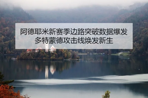 a-de-ye-mi-xin-sai-ji-bian-lu-tu-po-shu-ju-bao-fa-duo-te-meng-de-gong-ji-xian-huan-fa-xin-sheng-1-193.jpg
