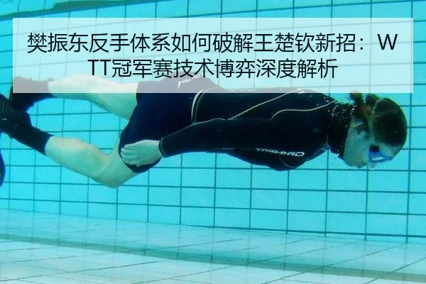 樊振东反手体系如何破解王楚钦新招：WTT冠军赛技术博弈深度解析