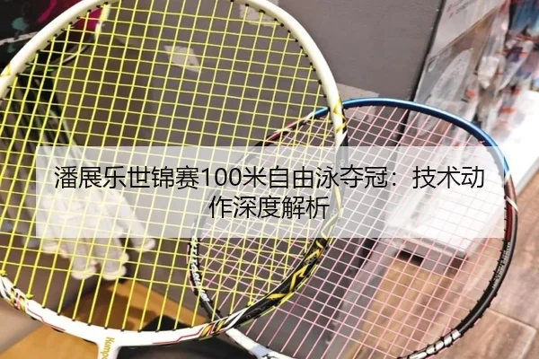 潘展乐世锦赛100米自由泳夺冠：技术动作深度解析