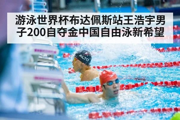 游泳世界杯布达佩斯站王浩宇男子200自夺金中国自由泳新希望