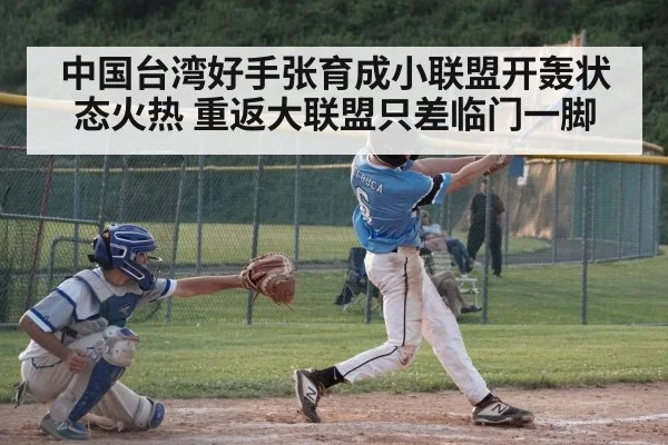 中国台湾好手张育成小联盟开轰状态火热 重返大联盟只差临门一脚